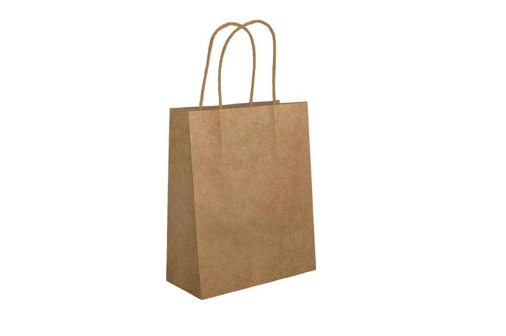 SAC A POIGNEES 18X8X24 NEUTRE (CARTON DE 250 UNITES)