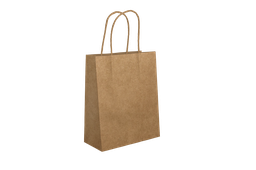 CARTON DE 200 SACS A POIGNEES 32X18X32 80G NEUTRE